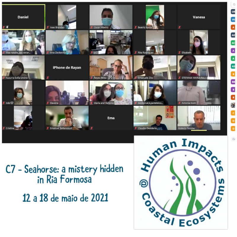 Projeto Erasmus+ "Human Impacts @ Coastal Ecosystems" C7 - Seahorse: a mistery hidden in Ria Formosa