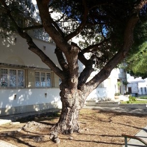 Escola Básica do 1º Ciclo da Fuseta